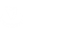 VISUS DENTAL